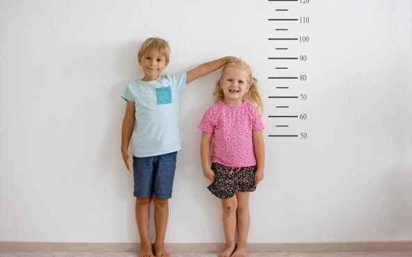 croissance_taille.jpg